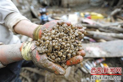 甘肃岷县雹洪灾害致37人遇难19人失踪
