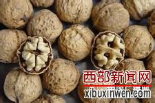 贵州赫章核桃叩响“国家喀斯特试点县”产业模板
