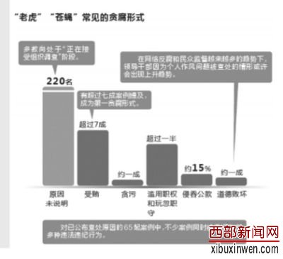 常见贪腐形式。