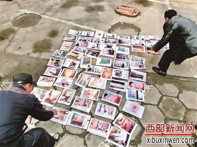 ���ر���Ǩ��չʾ��ǿ����Ƭ