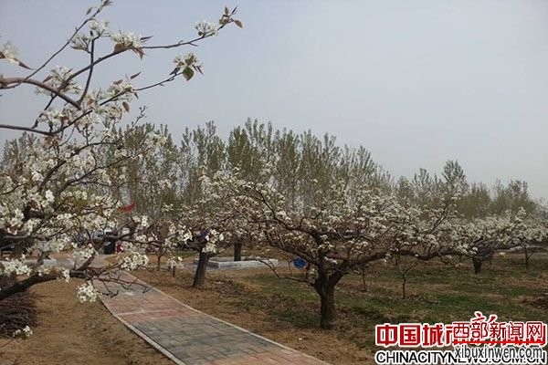 三河市第三届健康休闲旅游文化节