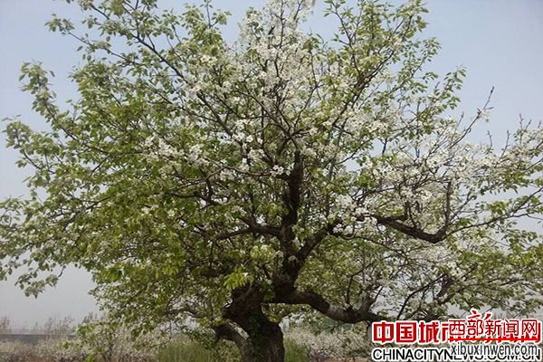 三河市第三届健康休闲旅游文化节
