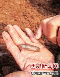现场清理出的子弹头