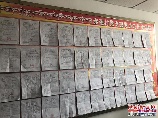 赤德村党支部党员任务公开承诺栏。 新华网 雪珍 摄