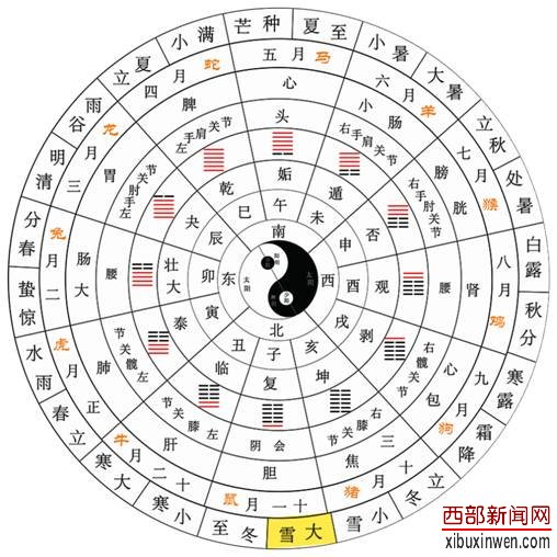 大雪:玉树琼花新世界,隆冬深处有春来 大雪:玉树琼花新世界,隆冬深处有春来