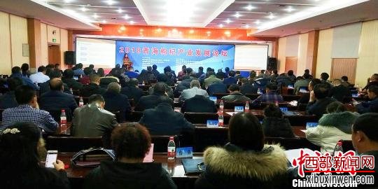 图为洽谈会期间举办的青海枸杞产业发展论坛。 钟欣 摄