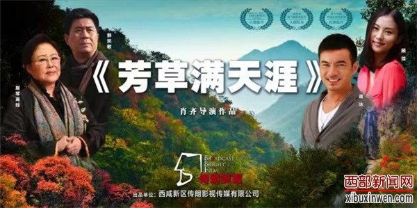 电影《芳草满天涯》
