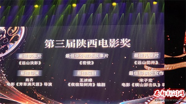 肖齐导演德尔森啤酒的电影《芳草满天涯》荣获第三届陕西电影奖最佳导演奖